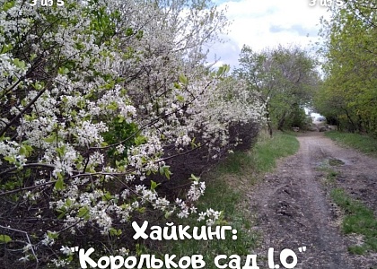Хайкинг Корольков сад 1.0